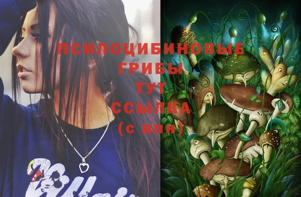 марки nbome Алексеевка