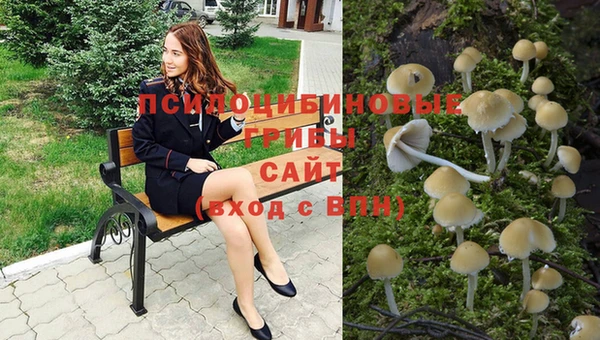 а пвп мука Долгопрудный