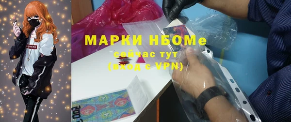 индика Алексин