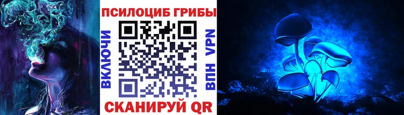 Псилоцибиновые грибы GOLDEN TEACHER  купить   Балахна 