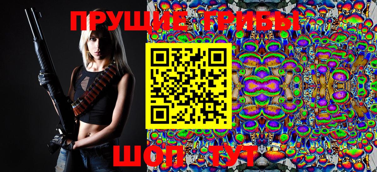 Галлюциногенные грибы Magic Shrooms  цена наркотик  Балахна  Вход с VPN  Псилоцибиновые грибы Psilocybe 
